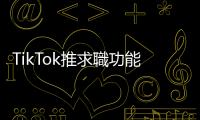 TikTok推求職功能，Z世代青睞的「人力銀行」可能反讓雇主更能挑選面試者