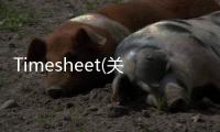 Timesheet(關于Timesheet簡述)