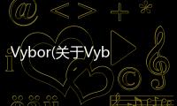 Vybor(關于Vybor簡述)