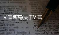 V·富斯高(關于V·富斯高簡述)