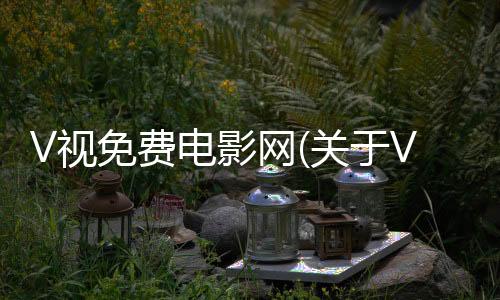 V視免費電影網(關于V視免費電影網簡述)