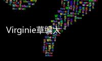 Virginie草編太陽帽(關于Virginie草編太陽帽簡述)