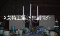 X女特工第29集劇情介紹