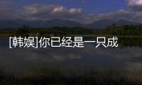 [韓娛]你已經是一只成熟的果子(關于[韓娛]你已經是一只成熟的果子簡述)