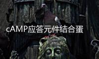 cAMP應答元件結合蛋白質(關于cAMP應答元件結合蛋白質簡述)