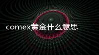 comex黃金什么意思（comex是什么意思）