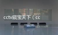 cctv藏寶天下（cctv國家寶藏）