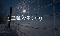 cfg是啥文件（cfg是什么文件格式）