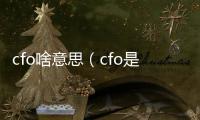 cfo啥意思（cfo是什么意思啊）