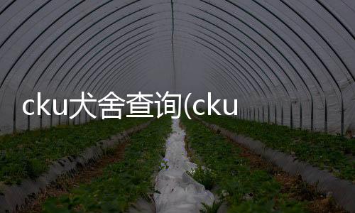 cku犬舍查詢(cku犬舍如何注冊)