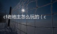 cf老地主怎么玩的（cf斗地主怎么玩）