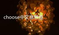 choose中文意思是什么（choose什么意思中文）