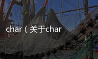 char（關于char的基本情況說明介紹）