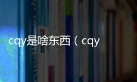 cqy是啥東西（cqy是什么意思）