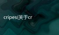 cripes(關于cripes簡述)