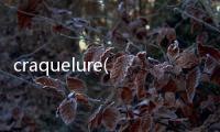 craquelure(關于craquelure簡述)