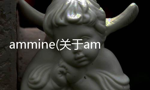 ammine(關于ammine簡述)