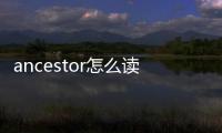 ancestor怎么讀（honor怎么讀）