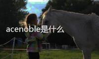 acenoble是什么牌子（acenoble）