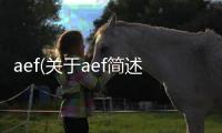 aef(關于aef簡述)