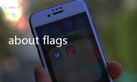 about flags打不開（about flags）