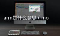 arm是什么意思（mouth是什么意思）