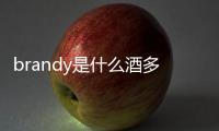 brandy是什么酒多少錢（brandy是什么酒）