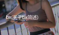 bx(關于bx簡述)