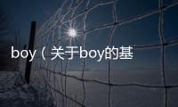 boy（關于boy的基本情況說明介紹）