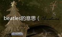 beatles的意思（beatles什么意思）