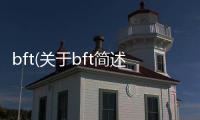 bft(關于bft簡述)