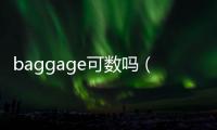 baggage可數嗎（baggage）