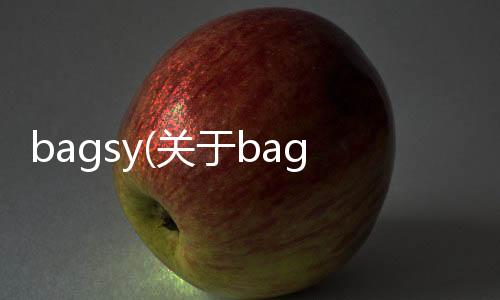 bagsy(關于bagsy簡述)