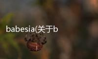 babesia(關于babesia簡述)