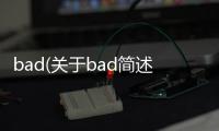 bad(關于bad簡述)