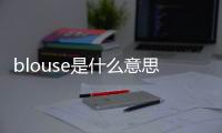 blouse是什么意思中文翻譯是什么意思replies