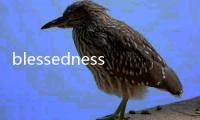 blessedness(關于blessedness簡述)