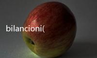 bilancioni(關(guān)于bilancioni簡(jiǎn)述)