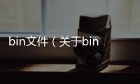 bin文件（關(guān)于bin文件的基本情況說明介紹）