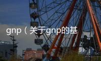 gnp（關于gnp的基本情況說明介紹）