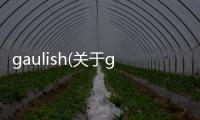 gaulish(關于gaulish簡述)