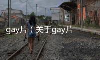 gay片（關于gay片的基本情況說明介紹）