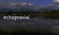 echopraxia(關于echopraxia簡述)