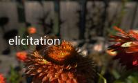 elicitation(關于elicitation簡述)