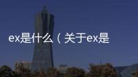 ex是什么（關于ex是什么的基本情況說明介紹）