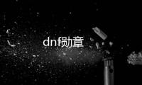 dnf勛章