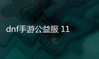 dnf手游公益服 113發布網