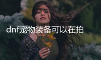 dnf寵物裝備可以在拍賣上買嗎（dnf寵物裝備）