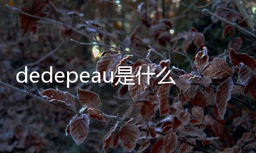 dedepeau是什么品牌的口紅（dedepeau是什么品牌）