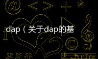 dap（關于dap的基本情況說明介紹）